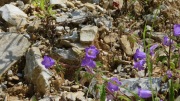2023-06-17-18-La-Spezia_Carrara-228